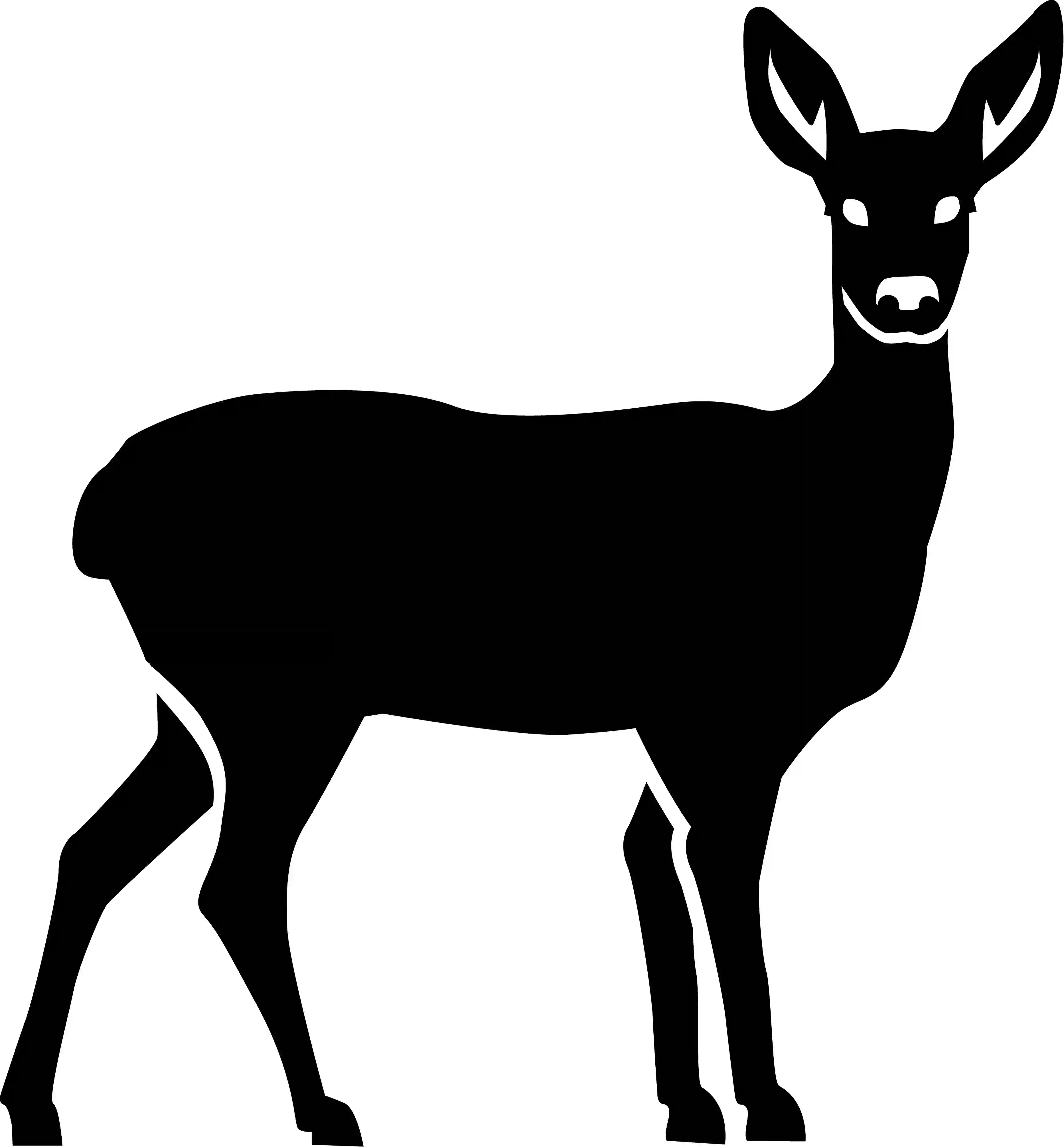 Rehleber oder Hirschleber Rehleber oder Hirschleber