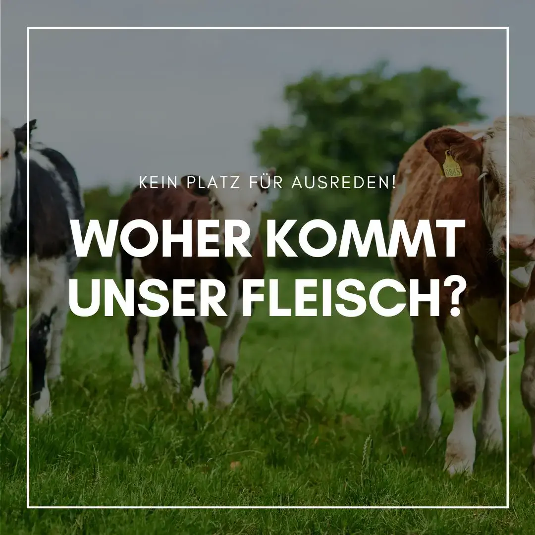 Bio Fleisch aus Österreich Woher kommt unser Fleisch