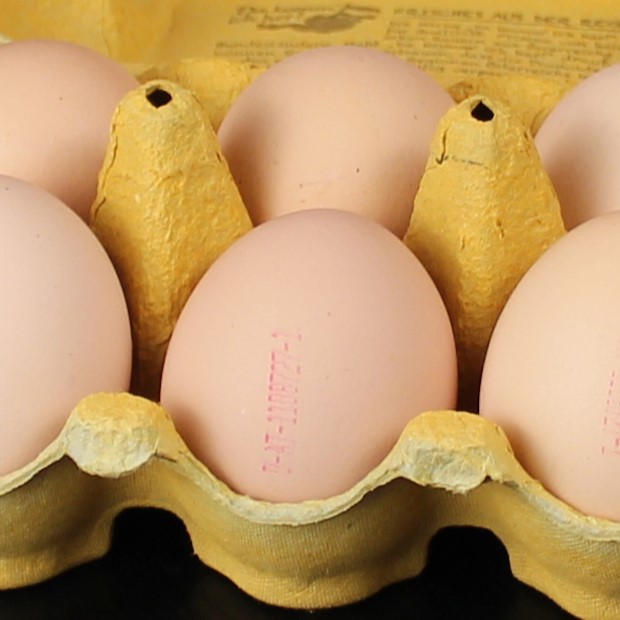 Bio Ei vom Biohof Grünstäudel aus Niederösterreich